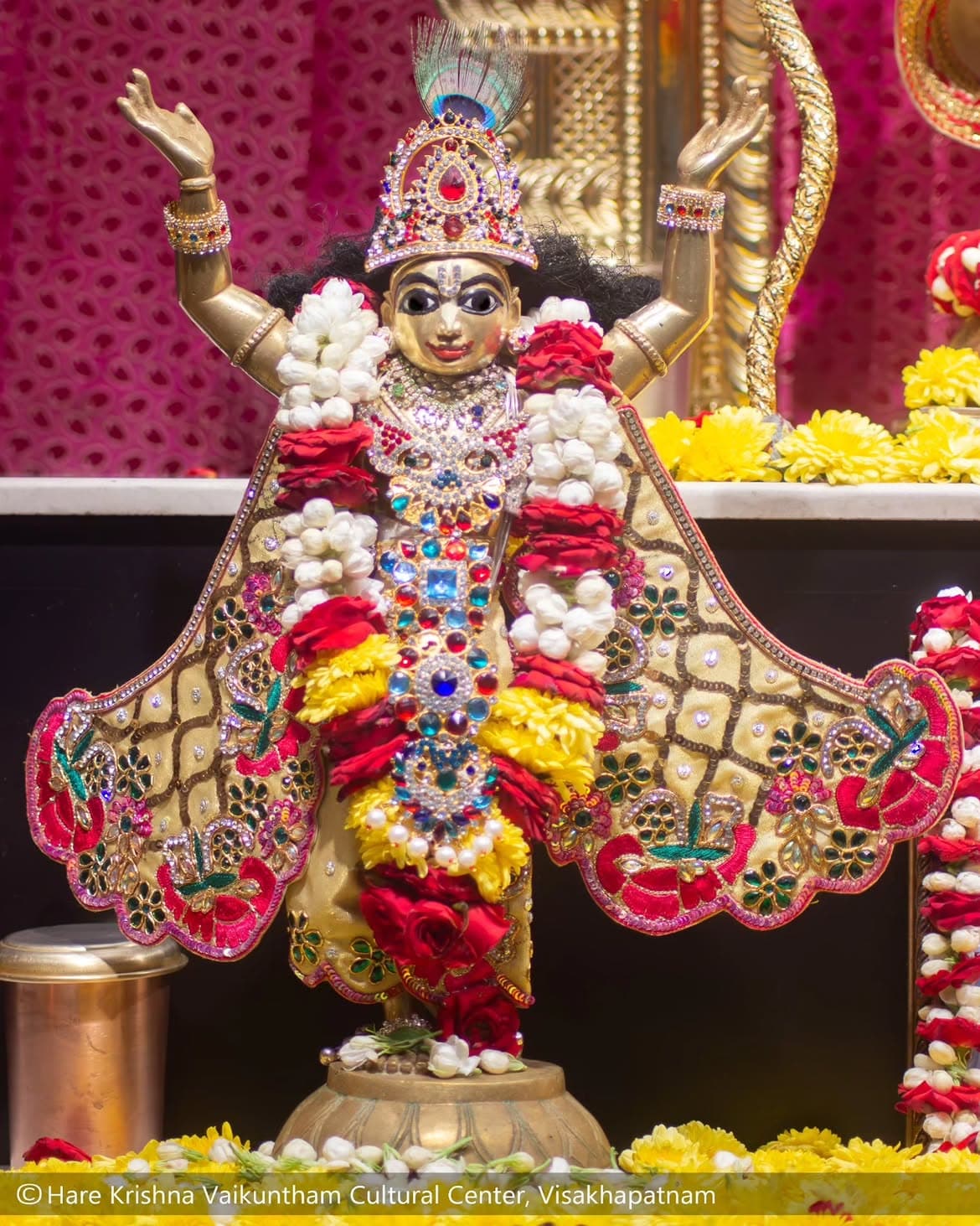 Daily Seva — Full View